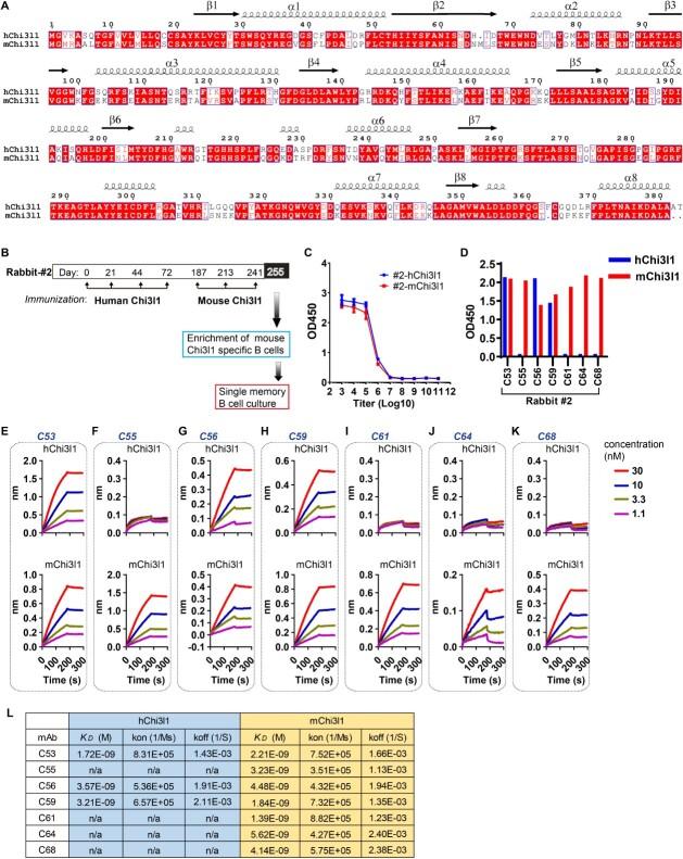 https://cdn.ncbi.nlm.nih.gov/pmc/blobs/aa37/9847341/509d3502ca66/tbac027f2.jpg