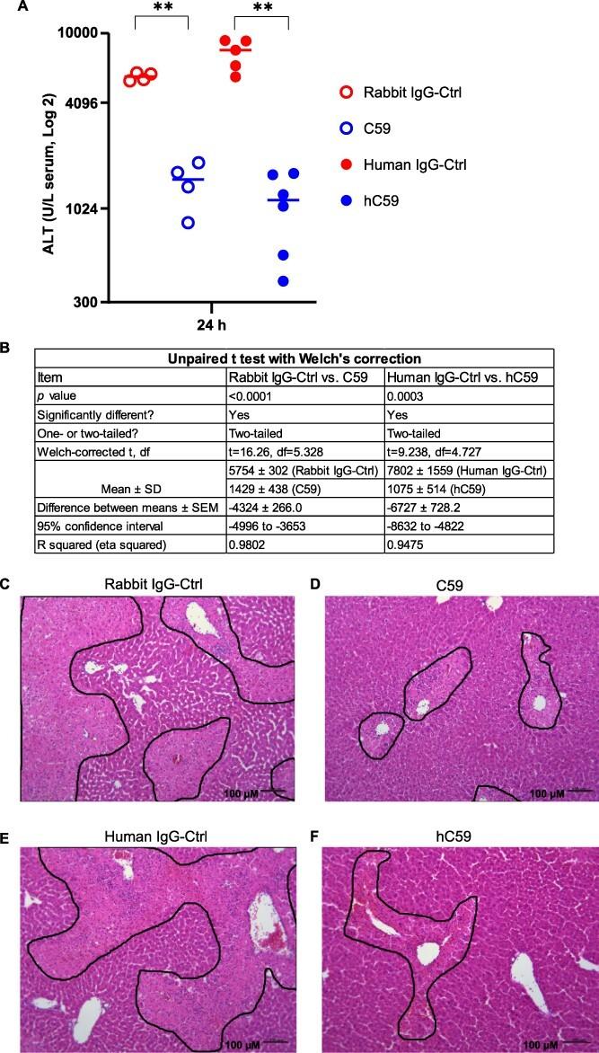 https://cdn.ncbi.nlm.nih.gov/pmc/blobs/aa37/9847341/f88295836efb/tbac027f6.jpg