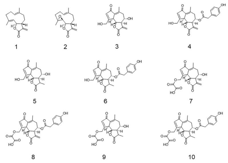 https://cdn.ncbi.nlm.nih.gov/pmc/blobs/aa3a/7699524/82f9d021363f/nutrients-12-03547-g001.jpg