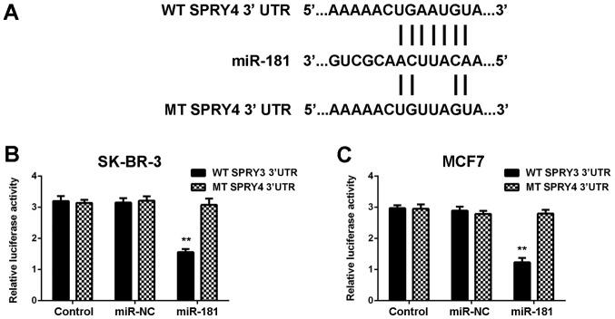 https://cdn.ncbi.nlm.nih.gov/pmc/blobs/aa3d/6236310/c6ac372c10c3/MMR-18-06-5603-g04.jpg