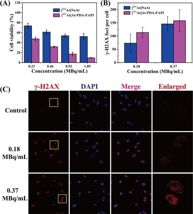 https://cdn.ncbi.nlm.nih.gov/pmc/blobs/aa3e/12104461/dbf098a03f07/41598_2025_3356_Fig3_HTML.jpg