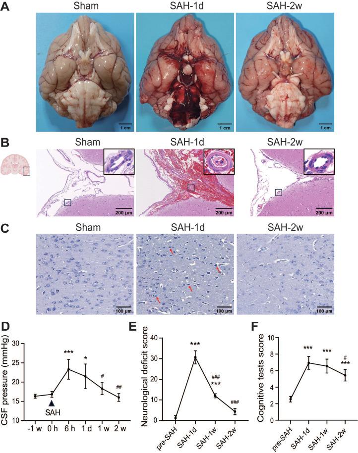 https://cdn.ncbi.nlm.nih.gov/pmc/blobs/aa3f/11426235/0b24ff87ccf6/thnov14p6053g001.jpg