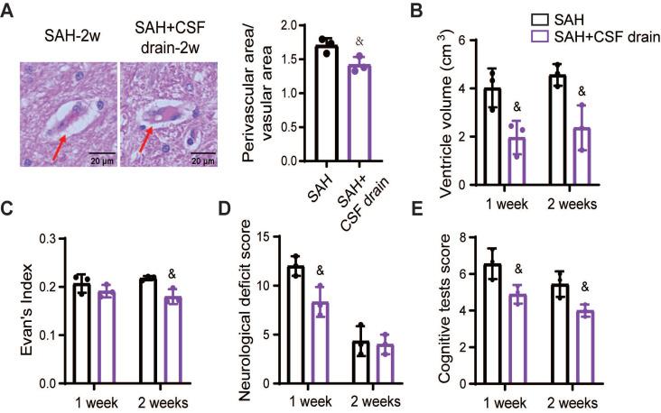 https://cdn.ncbi.nlm.nih.gov/pmc/blobs/aa3f/11426235/2902c203c126/thnov14p6053g009.jpg