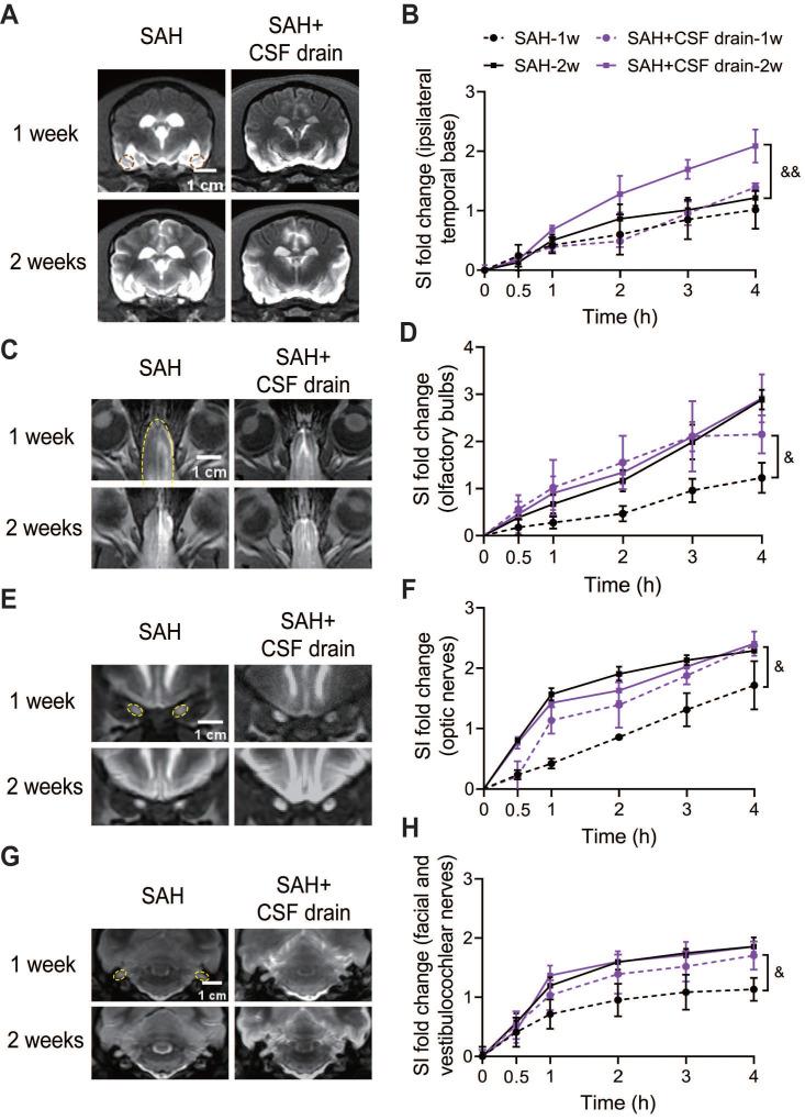 https://cdn.ncbi.nlm.nih.gov/pmc/blobs/aa3f/11426235/bc3d03e71385/thnov14p6053g008.jpg