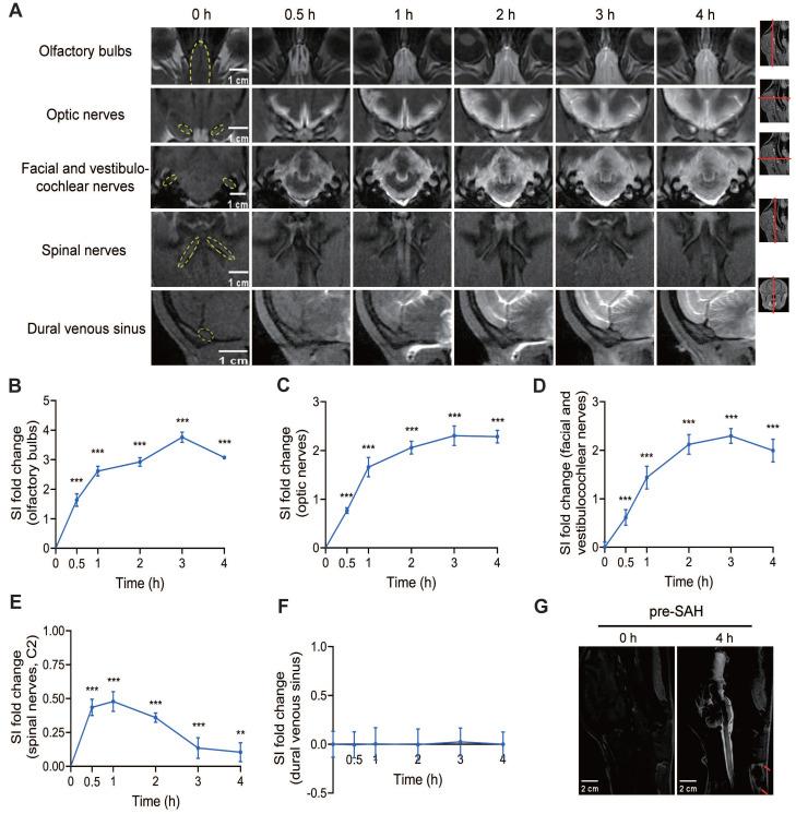 https://cdn.ncbi.nlm.nih.gov/pmc/blobs/aa3f/11426235/c025de1319ef/thnov14p6053g005.jpg