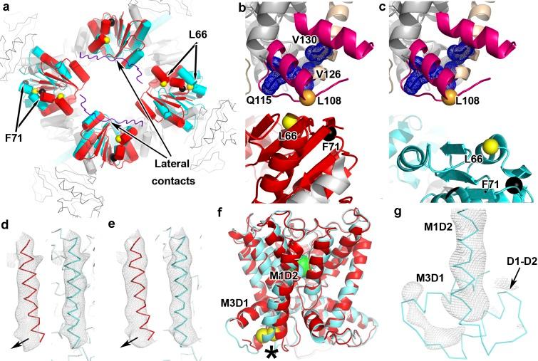 https://cdn.ncbi.nlm.nih.gov/pmc/blobs/aa3f/4714889/42a0aaf0ca75/pbio.1002356.g002.jpg