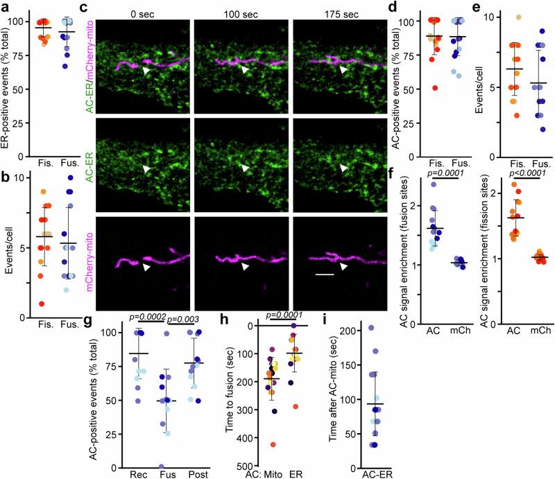https://cdn.ncbi.nlm.nih.gov/pmc/blobs/aa40/11707194/2099040b090a/41467_2024_55758_Fig3_HTML.jpg