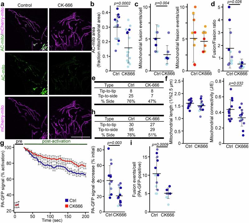 https://cdn.ncbi.nlm.nih.gov/pmc/blobs/aa40/11707194/2c362e56bf35/41467_2024_55758_Fig5_HTML.jpg