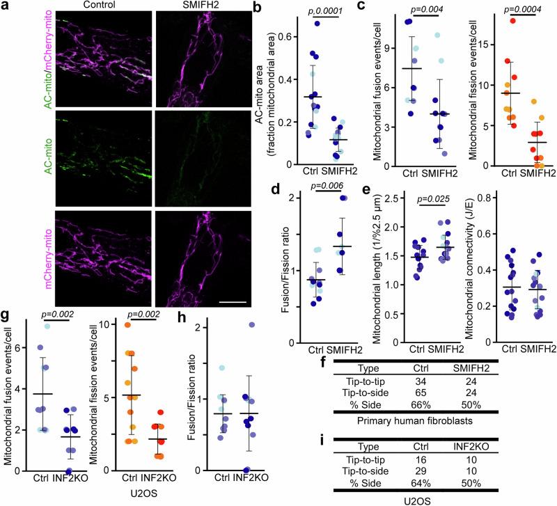 https://cdn.ncbi.nlm.nih.gov/pmc/blobs/aa40/11707194/4df07ecb6429/41467_2024_55758_Fig6_HTML.jpg