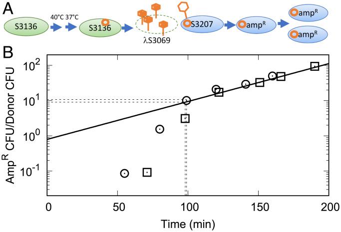 https://cdn.ncbi.nlm.nih.gov/pmc/blobs/aa40/9168506/a67f2cb6841b/pnas.2106005119fig03.jpg