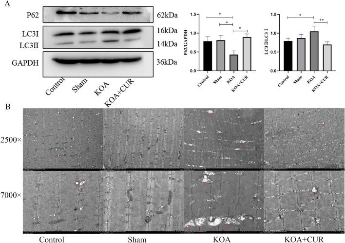 https://cdn.ncbi.nlm.nih.gov/pmc/blobs/aa42/11001965/8558775dcd4b/41598_2024_58375_Fig5_HTML.jpg