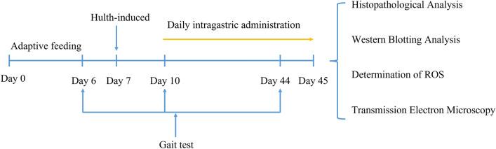 https://cdn.ncbi.nlm.nih.gov/pmc/blobs/aa42/11001965/b0c6356d6198/41598_2024_58375_Fig1_HTML.jpg