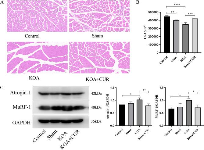 https://cdn.ncbi.nlm.nih.gov/pmc/blobs/aa42/11001965/bf16502c7cc1/41598_2024_58375_Fig4_HTML.jpg