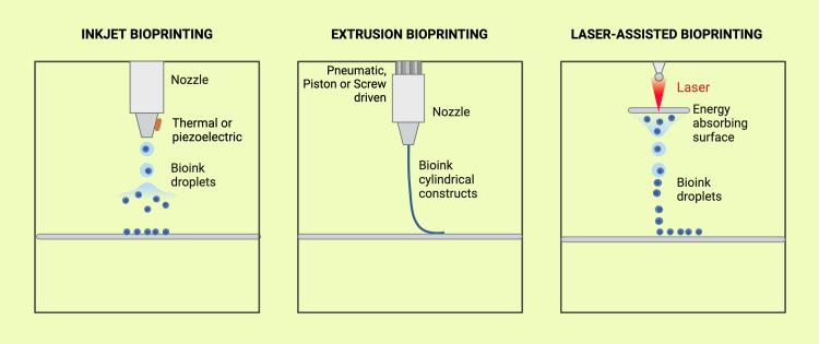 https://cdn.ncbi.nlm.nih.gov/pmc/blobs/aa45/12007905/6ad4a0880327/cureus-0017-00000082432-i05.jpg
