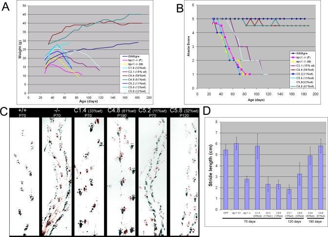 https://cdn.ncbi.nlm.nih.gov/pmc/blobs/aa46/1183526/18483298ebcf/pgen.0010007.g005.jpg