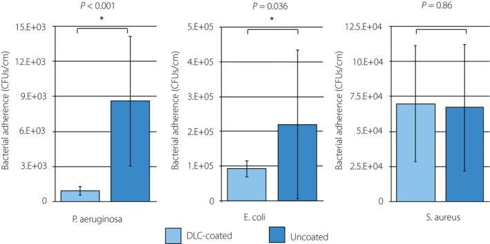 https://cdn.ncbi.nlm.nih.gov/pmc/blobs/aa49/9290946/13d053fa9cce/IJU-28-1282-g001.jpg