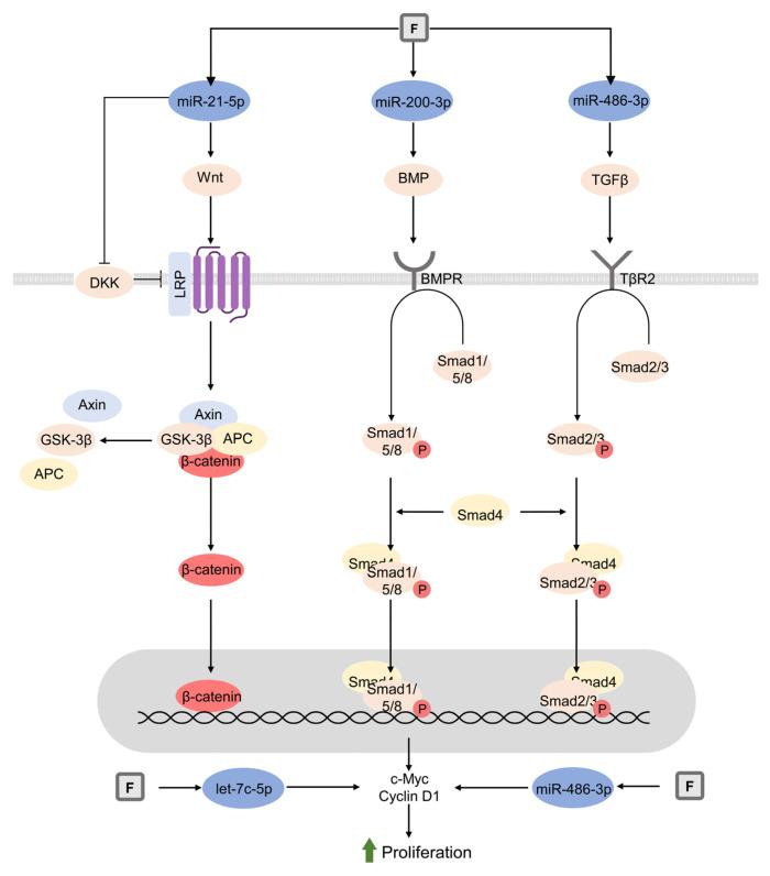 https://cdn.ncbi.nlm.nih.gov/pmc/blobs/aa4d/10296274/489594c4626d/biomolecules-13-01006-g003.jpg