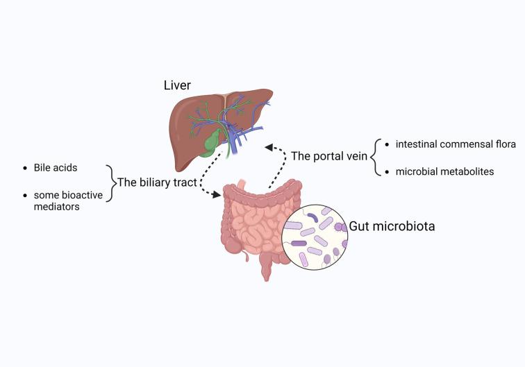 https://cdn.ncbi.nlm.nih.gov/pmc/blobs/aa4d/12206787/3e7e642a9a96/fimmu-16-1575963-g001.jpg