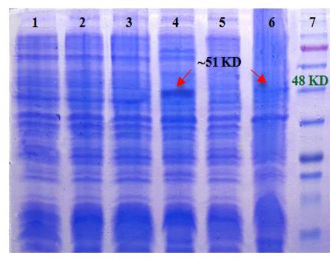https://cdn.ncbi.nlm.nih.gov/pmc/blobs/aa4f/7475616/a6902b7b153f/IJPH-49-931-g004.jpg