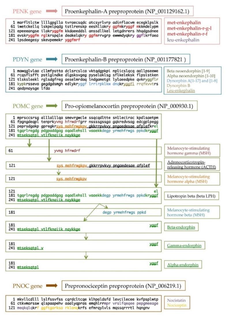 https://cdn.ncbi.nlm.nih.gov/pmc/blobs/aa4f/8998234/1b9bd27dcd67/ijms-23-03819-g001.jpg