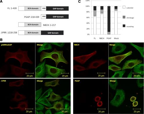 https://cdn.ncbi.nlm.nih.gov/pmc/blobs/aa50/2938388/1293efeb57b7/zmk0181095720001.jpg