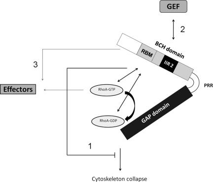 https://cdn.ncbi.nlm.nih.gov/pmc/blobs/aa50/2938388/2006388559bc/zmk0181095720008.jpg