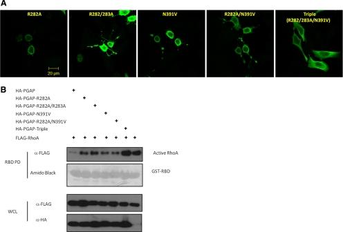 https://cdn.ncbi.nlm.nih.gov/pmc/blobs/aa50/2938388/72fe99826b7b/zmk0181095720003.jpg