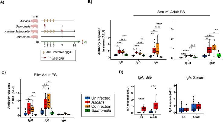 https://cdn.ncbi.nlm.nih.gov/pmc/blobs/aa51/12343609/c99253f6c74f/fimmu-16-1606128-g003.jpg