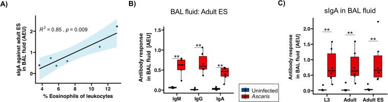 https://cdn.ncbi.nlm.nih.gov/pmc/blobs/aa51/12343609/e239ac7db0b2/fimmu-16-1606128-g004.jpg