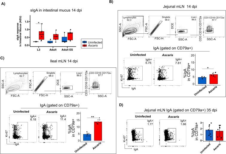 https://cdn.ncbi.nlm.nih.gov/pmc/blobs/aa51/12343609/e86a06326fbd/fimmu-16-1606128-g005.jpg