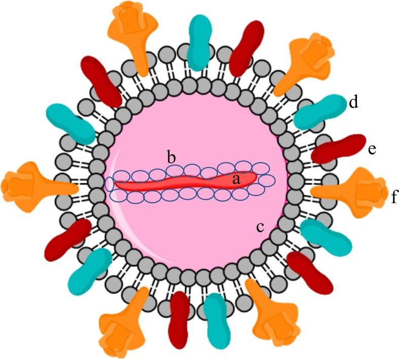 https://cdn.ncbi.nlm.nih.gov/pmc/blobs/aa51/7834266/119363d00edd/gr1_lrg.jpg