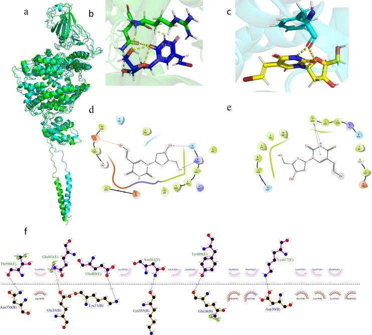 https://cdn.ncbi.nlm.nih.gov/pmc/blobs/aa51/7834266/548dfa9f44e8/gr7_lrg.jpg