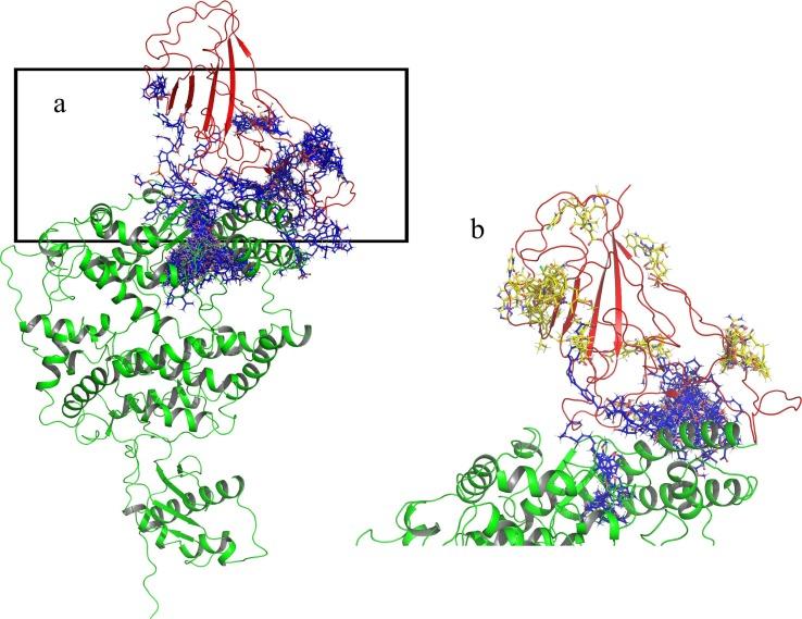 https://cdn.ncbi.nlm.nih.gov/pmc/blobs/aa51/7834266/aaa365f0a855/gr2_lrg.jpg