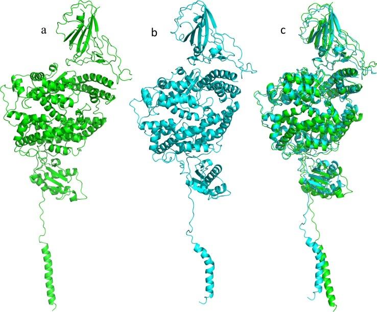 https://cdn.ncbi.nlm.nih.gov/pmc/blobs/aa51/7834266/ae97c145d68e/gr4_lrg.jpg