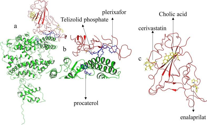https://cdn.ncbi.nlm.nih.gov/pmc/blobs/aa51/7834266/bb64042ed657/gr3_lrg.jpg