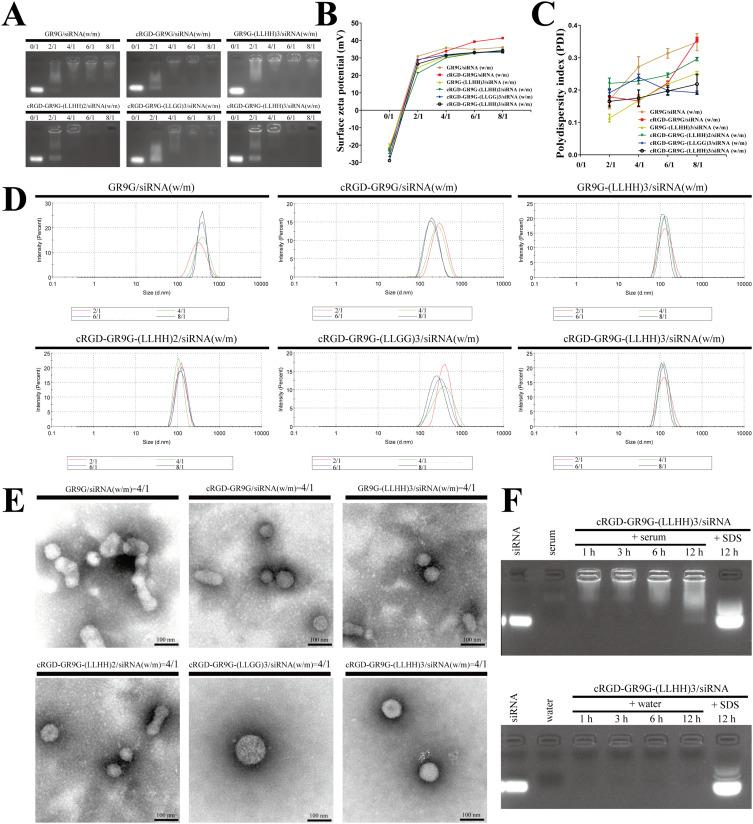 https://cdn.ncbi.nlm.nih.gov/pmc/blobs/aa52/11559232/028017b9e7f6/IJN-19-11517-g0002.jpg