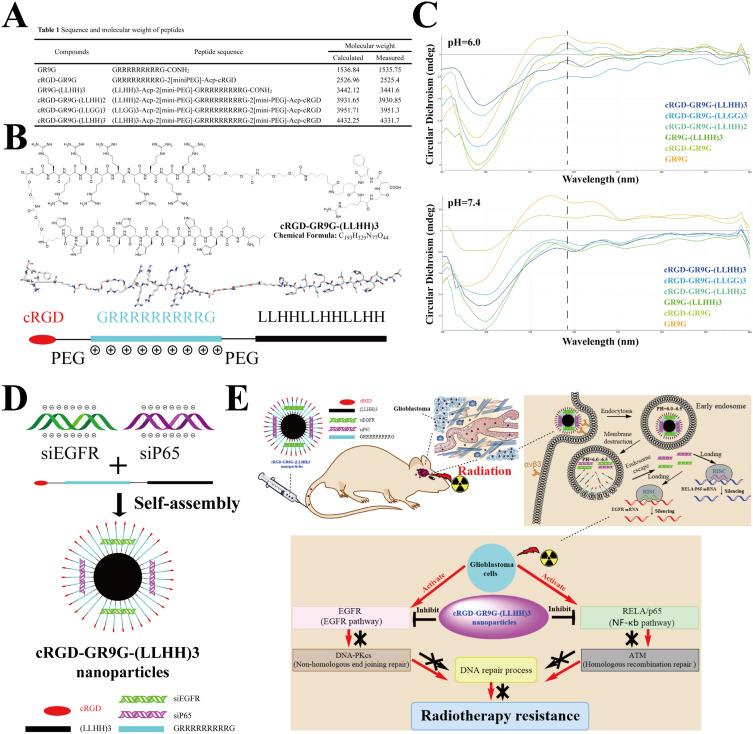 https://cdn.ncbi.nlm.nih.gov/pmc/blobs/aa52/11559232/fad86bea5f7d/IJN-19-11517-g0001.jpg