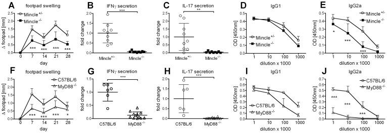 https://cdn.ncbi.nlm.nih.gov/pmc/blobs/aa55/3538599/6e032ab9b3b5/pone.0053531.g001.jpg