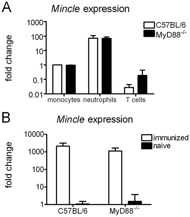 https://cdn.ncbi.nlm.nih.gov/pmc/blobs/aa55/3538599/d369e9658237/pone.0053531.g002.jpg