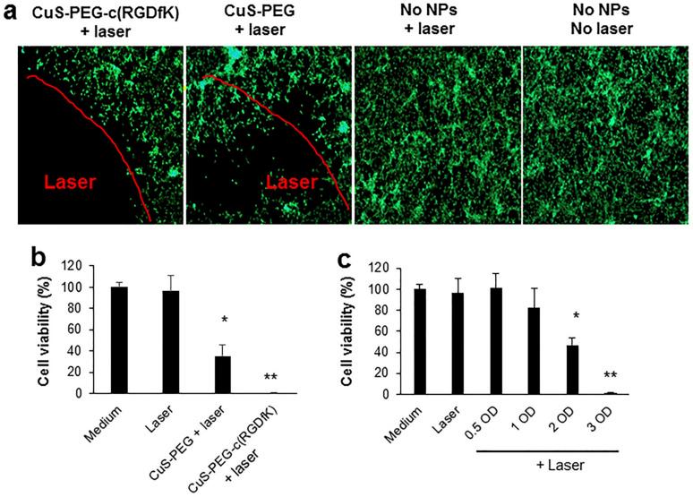 https://cdn.ncbi.nlm.nih.gov/pmc/blobs/aa56/10661684/a140feb69c49/d3ra06434d-f3.jpg
