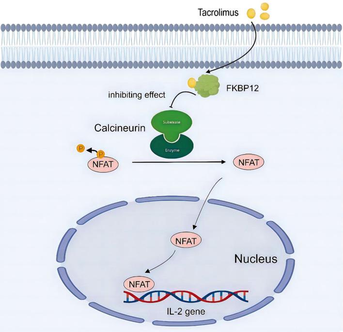 https://cdn.ncbi.nlm.nih.gov/pmc/blobs/aa56/12134904/47ba257c4fb4/JCTH-13-493-g001.jpg