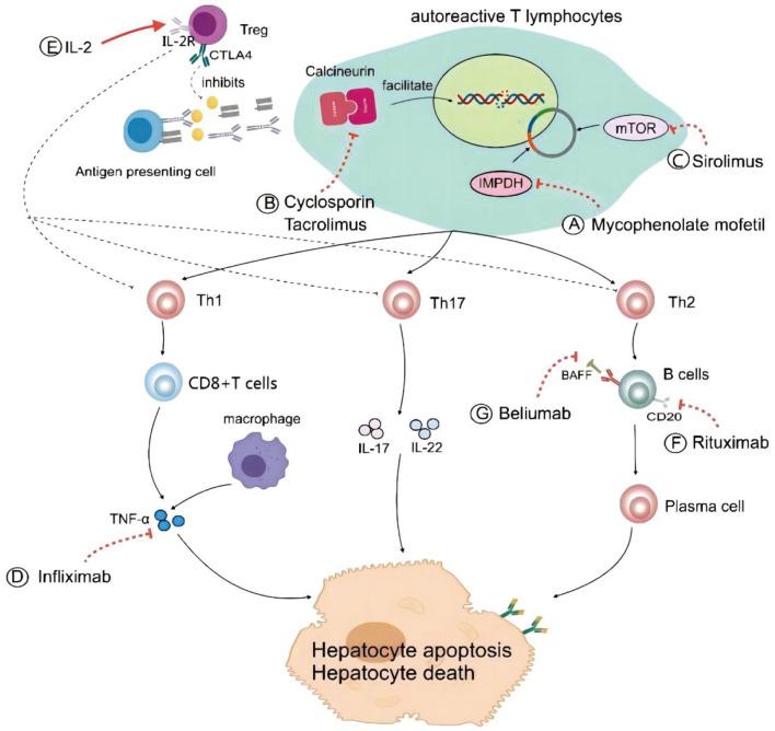 https://cdn.ncbi.nlm.nih.gov/pmc/blobs/aa56/12134904/cbffe4961227/JCTH-13-493-g006.jpg