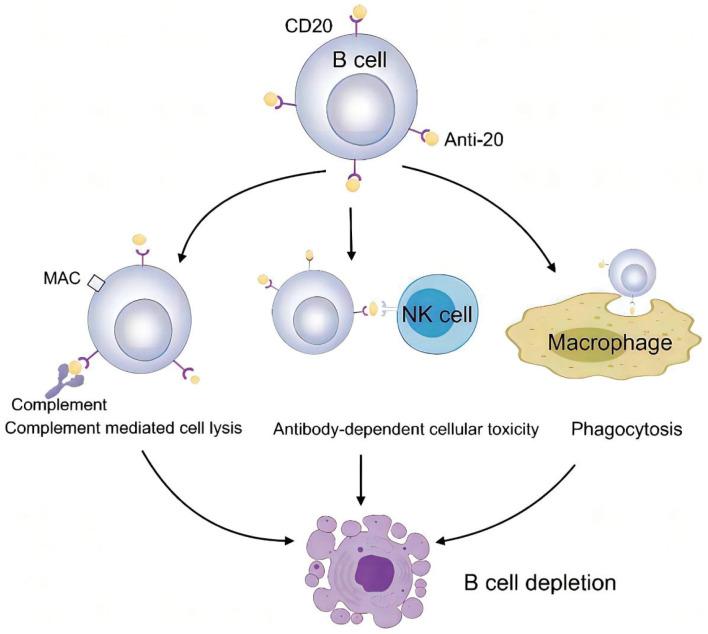 https://cdn.ncbi.nlm.nih.gov/pmc/blobs/aa56/12134904/e1806a0ea601/JCTH-13-493-g003.jpg
