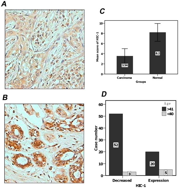 https://cdn.ncbi.nlm.nih.gov/pmc/blobs/aa56/3904905/4b642a350264/pone.0086486.g001.jpg
