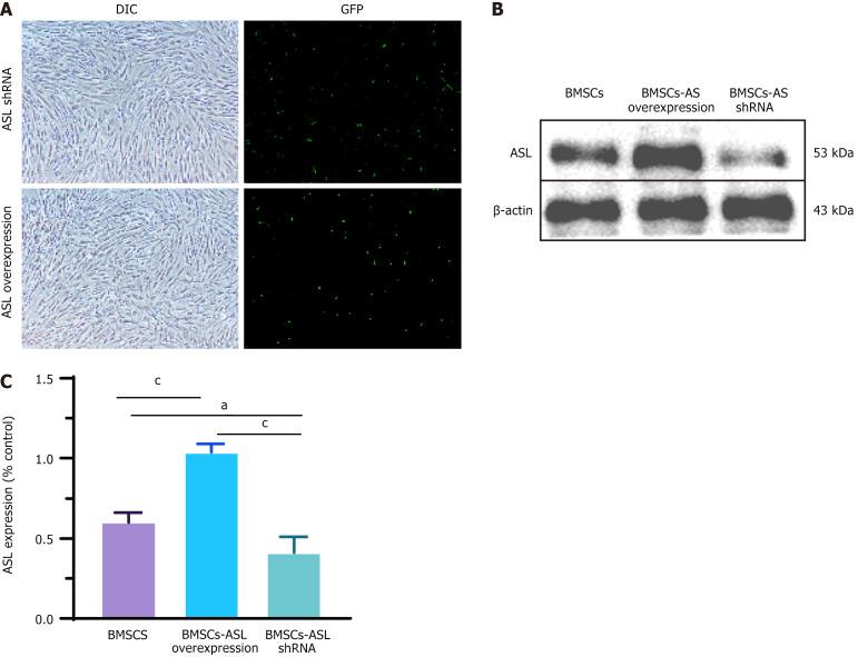 https://cdn.ncbi.nlm.nih.gov/pmc/blobs/aa57/12038462/26c65677b108/103314-g004.jpg