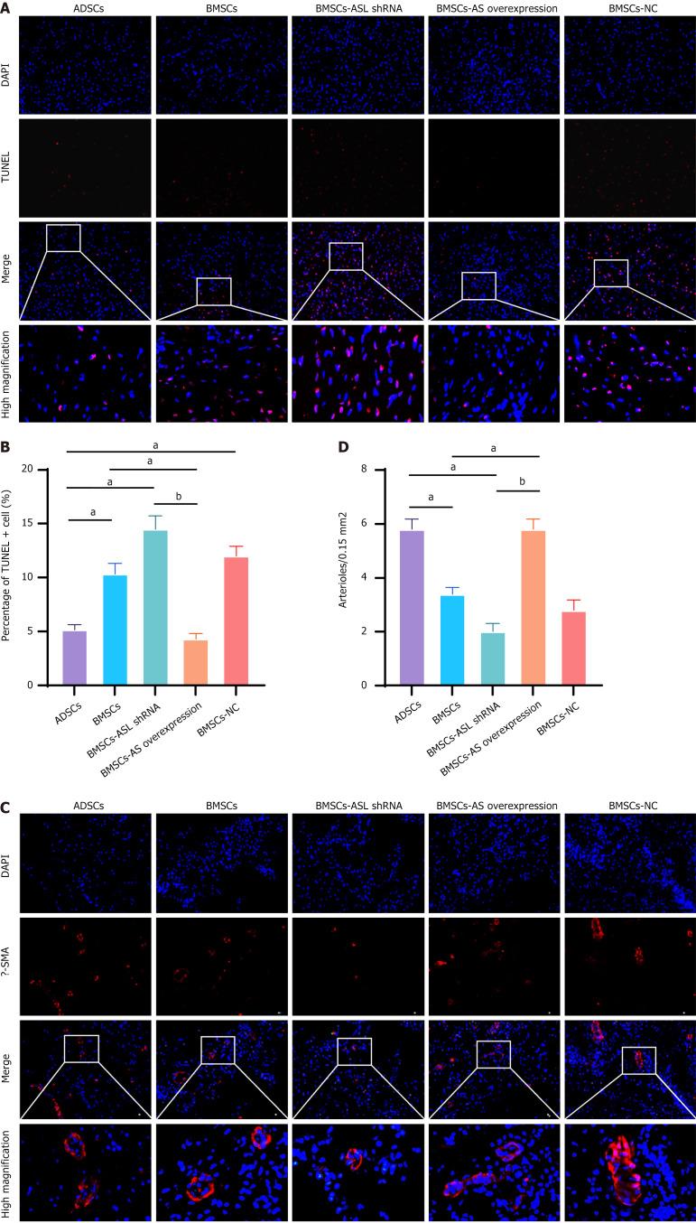 https://cdn.ncbi.nlm.nih.gov/pmc/blobs/aa57/12038462/6736d1d0c202/103314-g008.jpg