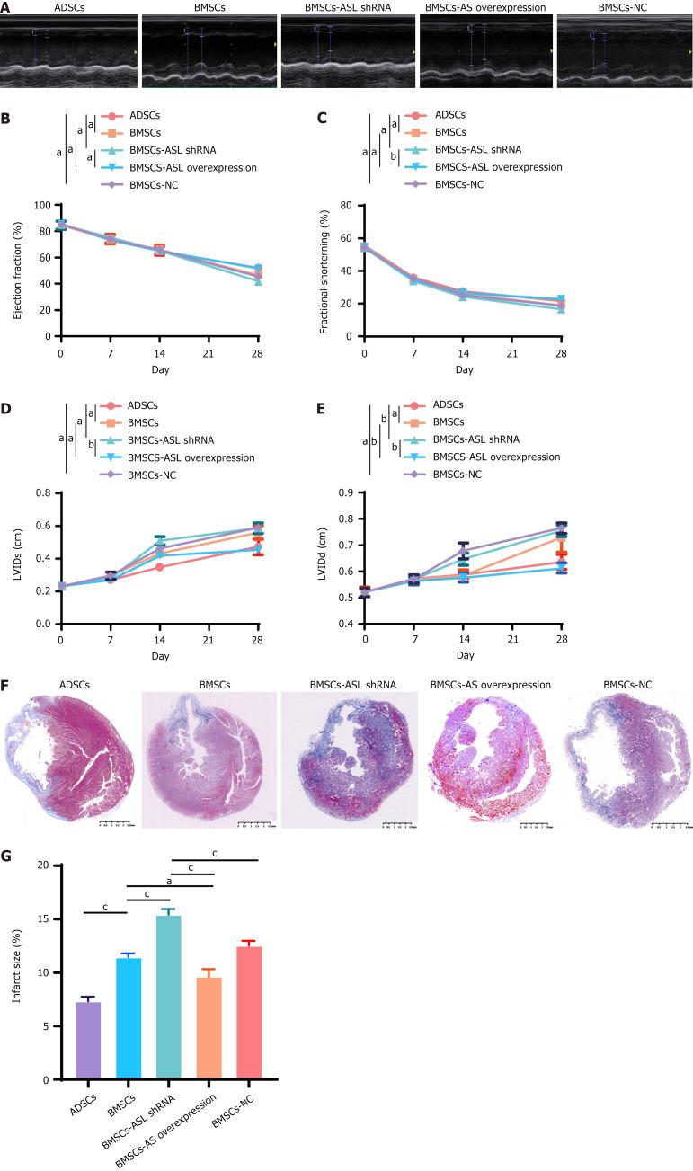 https://cdn.ncbi.nlm.nih.gov/pmc/blobs/aa57/12038462/d1a9884d967a/103314-g007.jpg