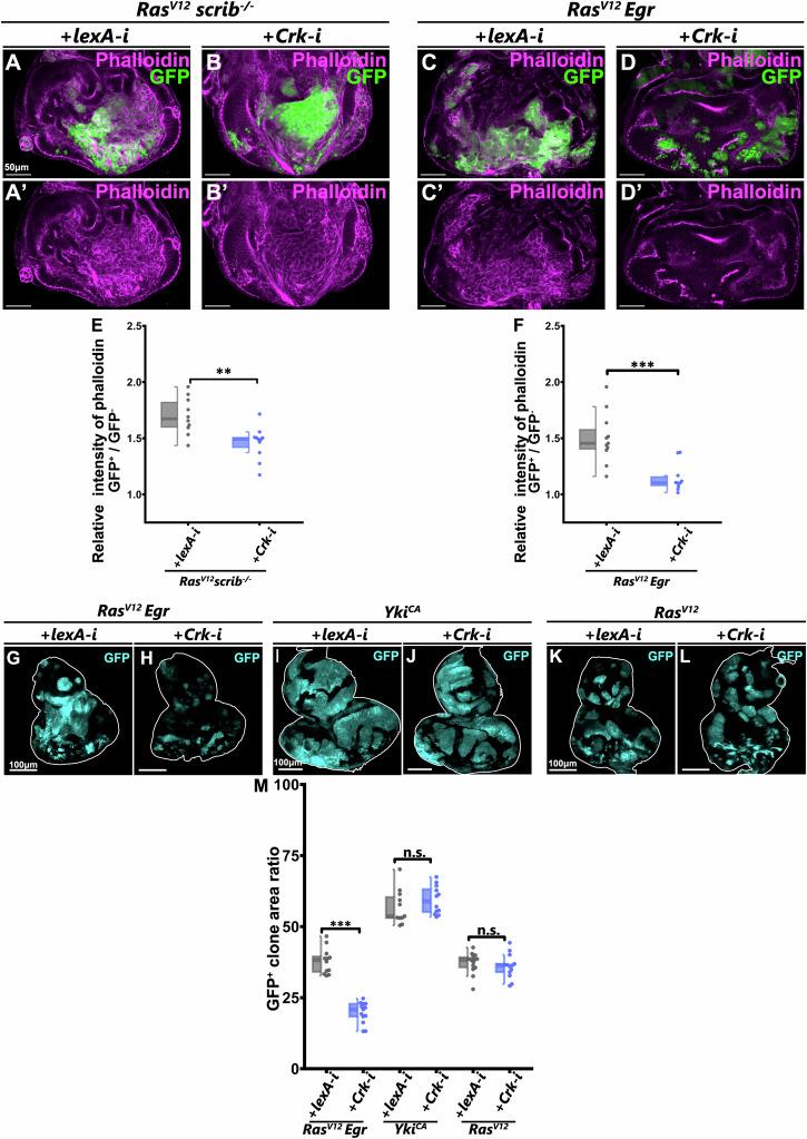 https://cdn.ncbi.nlm.nih.gov/pmc/blobs/aa58/11438906/76e924a323e4/42003_2024_6897_Fig4_HTML.jpg