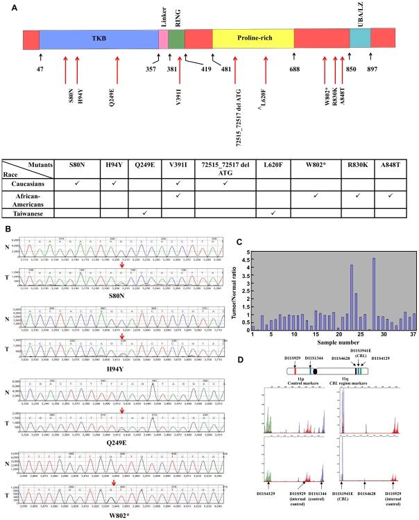 https://cdn.ncbi.nlm.nih.gov/pmc/blobs/aa58/2813301/7fda931cde2d/pone.0008972.g001.jpg