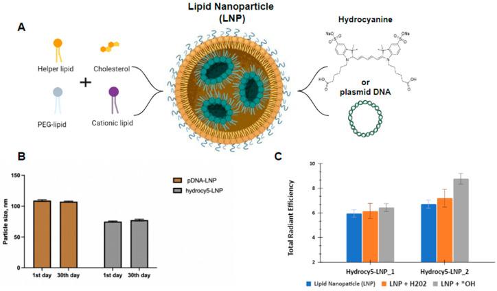 https://cdn.ncbi.nlm.nih.gov/pmc/blobs/aa5a/10376883/96c8e73a65ba/biomedicines-11-01783-g001.jpg
